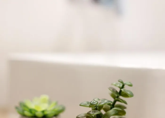 Golden Wroclaw- Cozy Studio- Rynek Square&kuznicza23